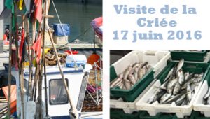 visite de la Criée les sables d'olonne NVE