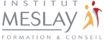 IFS Meslay